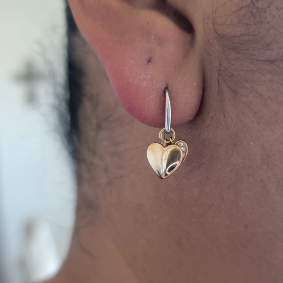 Fossil Dangle Earrings - Picture 6 of 6